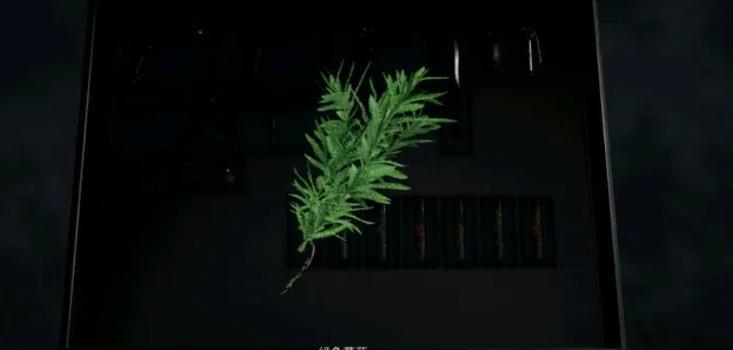 生化危机中药品使用回血的技巧有哪些? 生化危机中药品使用回血的技巧有哪些?