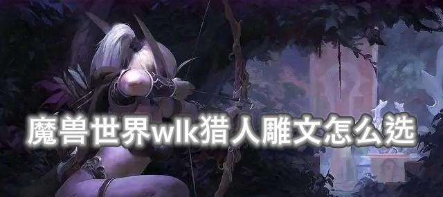 《魔兽世界WLK猎人雕文选择指南》(打造强力猎人装备) 《魔兽世界WLK猎人雕文选择指南》(打造强力猎人装备)