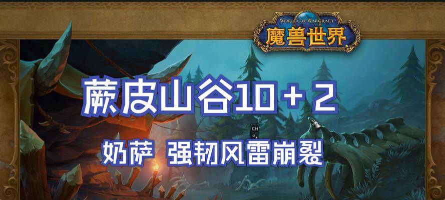 《魔兽世界》游戏100蕨皮山谷树口打法攻略（攻略100蕨皮山谷树口）