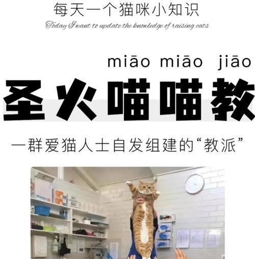 生化危机中喵喵喵的打法是什么？有哪些技巧？