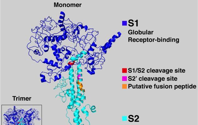 定秦剑取消操作步骤是什么？