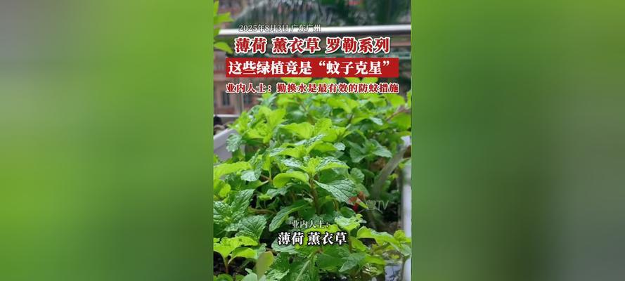 穿越火线绿植胶囊种植方法是什么？