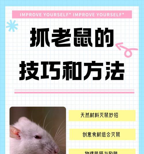 雪山传说老鼠的打法是什么？逆战中如何有效对抗老鼠？