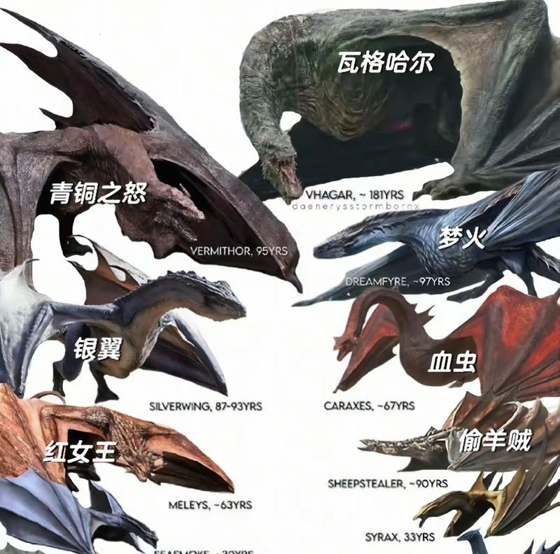 《龙之歌》游戏宠物系统全面解析（打造属于你的专属宠物大军）