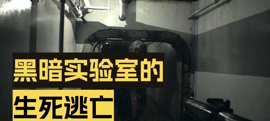 生化危机7番外篇的玩法指南是什么？