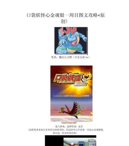 口袋妖怪（带你畅玩新版本）