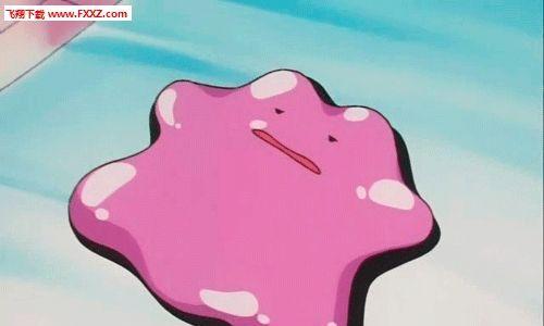 口袋妖怪（探索孵蛋技巧）