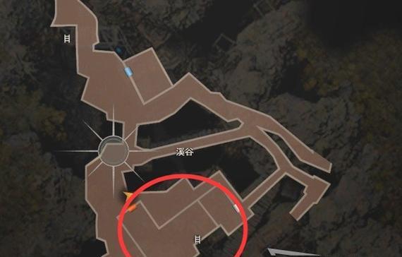 生化危机4中眼球使用技巧有哪些？