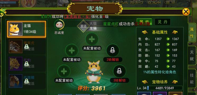 逆战宠物技能放置的正确方式是什么？
