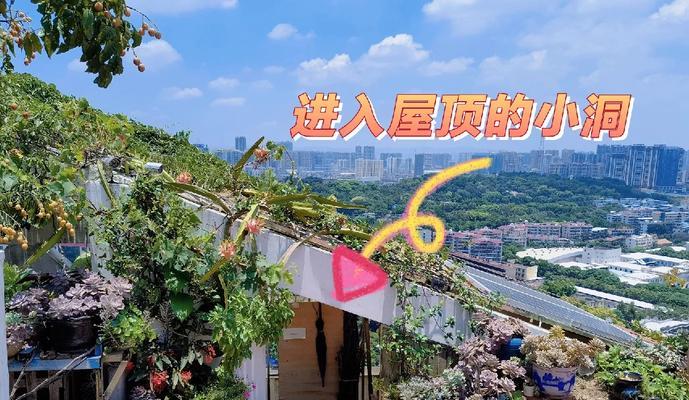 屋顶探索攻略？屋顶隐藏的秘密是什么？