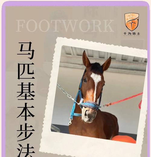 HorsemanGO游戏指南（探索HorsemanGO游戏的基本知识和技巧）
