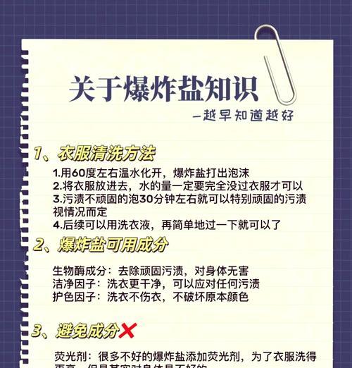 《以盐和避难所》最强套路玩法解析攻略（揭秘最有效的游戏策略）