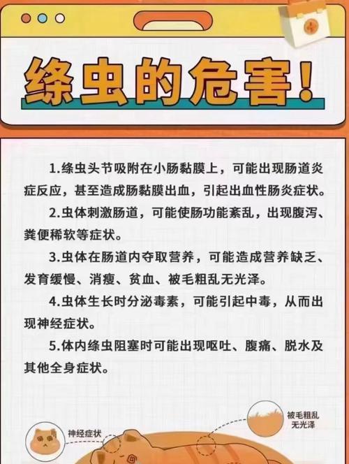 《医院计划》猪肉绦虫入侵——详解症状和预防措施（了解猪肉绦虫）